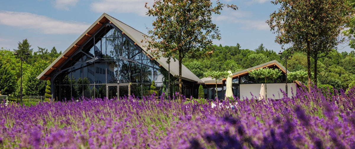 Oferta Specjalna SPA - Rytuał z darów ogrodu Małej Wsi