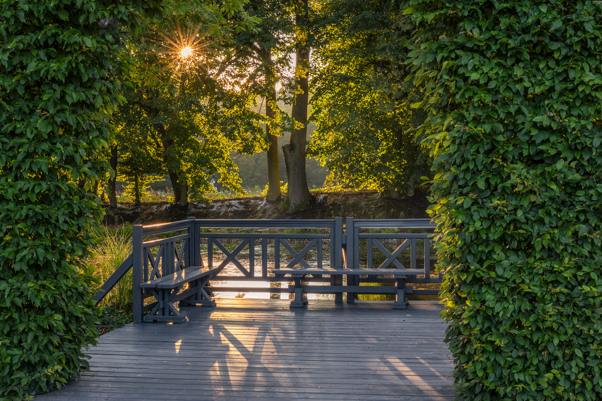 Zielony park i mostek w ogrodach Pałacu Mała Wieś