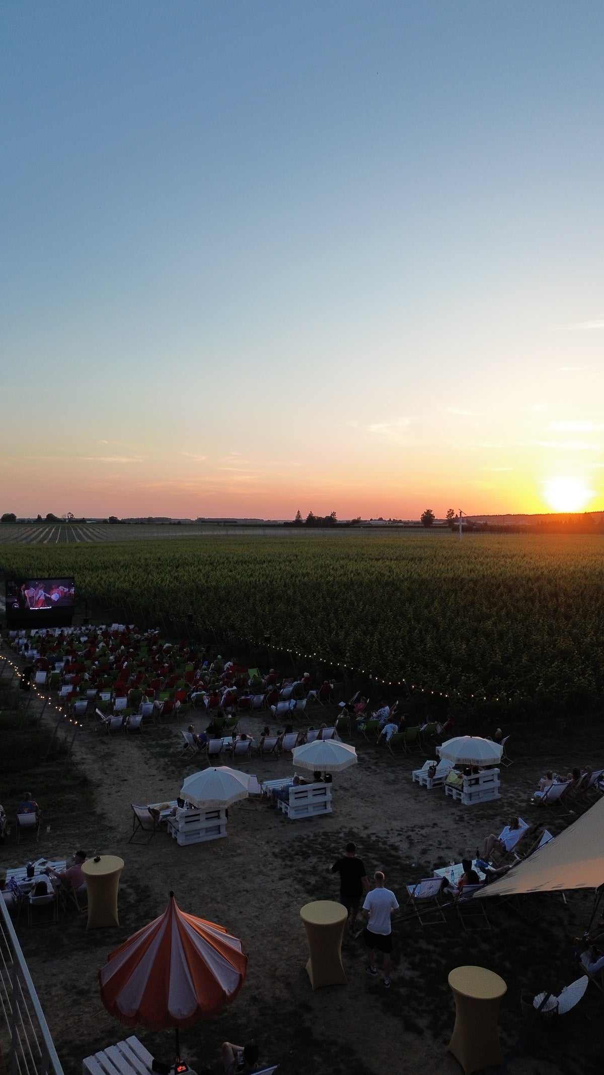 Rodzinny piknik letni dla pracowników i ich bliskich