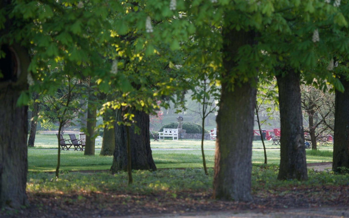 Mała Wieś Palace Gardens